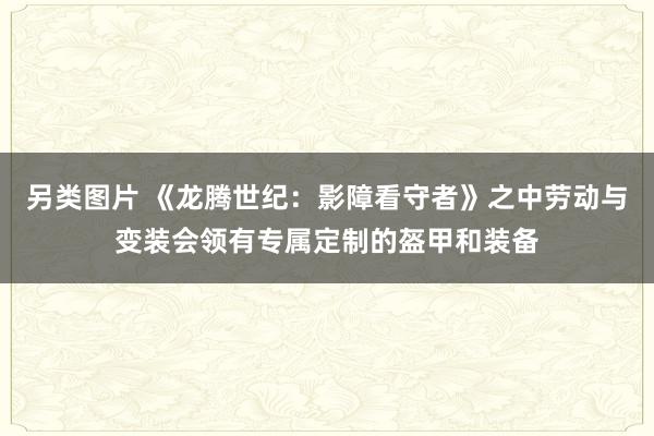 另类图片 《龙腾世纪：影障看守者》之中劳动与变装会领有专属定制的盔甲和装备