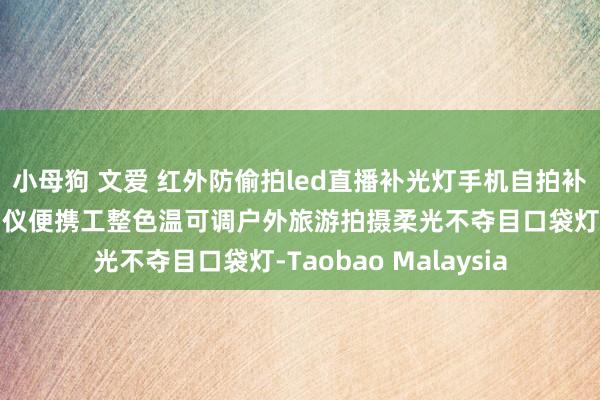 小母狗 文爱 红外防偷拍led直播补光灯手机自拍补光灯内置防偷窥检测仪便携工整色温可调户外旅游拍摄柔光不夺目口袋灯-Taobao Malaysia