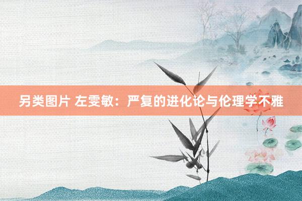 另类图片 左雯敏：严复的进化论与伦理学不雅