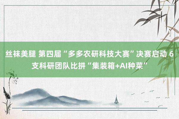 丝袜美腿 第四届“多多农研科技大赛”决赛启动 6支科研团队比拼“集装箱+AI种菜”