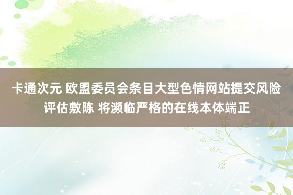 卡通次元 欧盟委员会条目大型色情网站提交风险评估敷陈 将濒临严格的在线本体端正