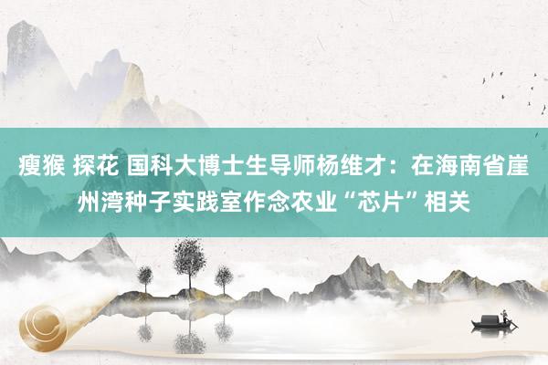 瘦猴 探花 国科大博士生导师杨维才：在海南省崖州湾种子实践室作念农业“芯片”相关